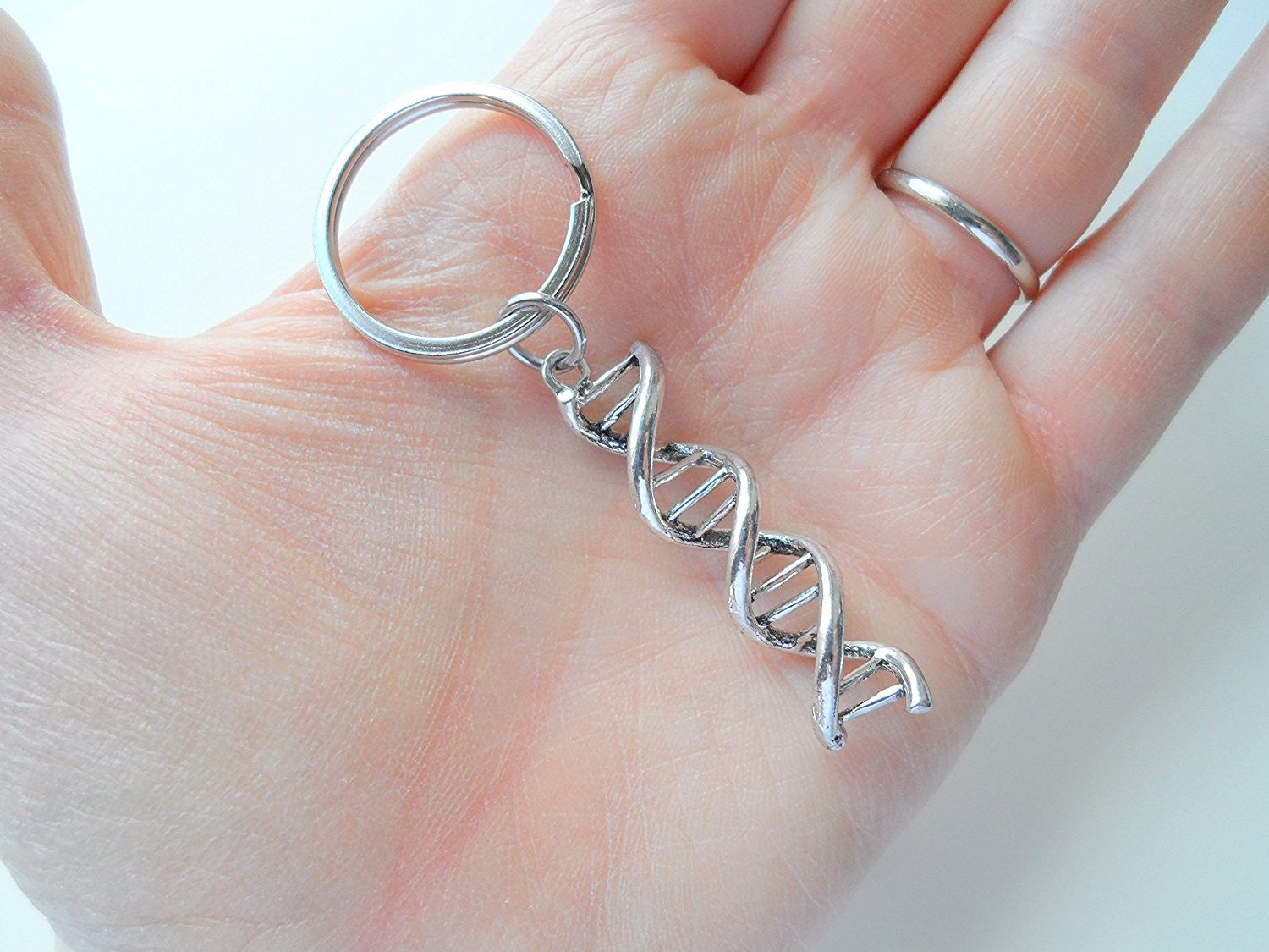 https://www.jewelry-everyday.com/cdn/shop/products/DNA_Molecule_Double_Helix_Keychain__Science_Keychain_H.jpg?v=1488299466